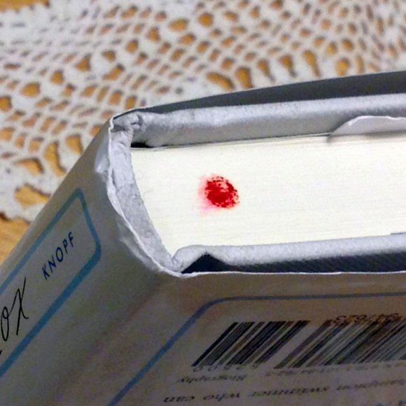 Open-Water Swimming bio, Swimming in the Sink, True Story - Picture 8 of 8